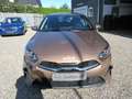 Kia Ceed / cee'd T-GDI Edition 7 Braun - thumbnail 2