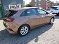 Kia Ceed / cee'd T-GDI Edition 7 Braun - thumbnail 4