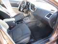 Kia Ceed / cee'd T-GDI Edition 7 Braun - thumbnail 12