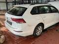 Volkswagen Golf Variant Life 1,0 TSI OPF Weiß - thumbnail 3