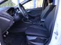 Ford Focus ST-Line Weiß - thumbnail 8
