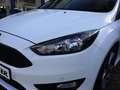 Ford Focus ST-Line Weiß - thumbnail 4