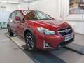 Subaru XV 1.6 CVT 4WD Comfort mit Winterrädern Czerwony - thumbnail 1