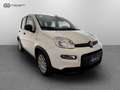 Fiat Panda 1.0 FireFly Hybrid Bianco - thumbnail 7