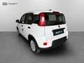 Fiat Panda 1.0 FireFly Hybrid Bianco - thumbnail 3