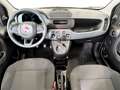 Fiat Panda 1.0 FireFly Hybrid Bianco - thumbnail 13