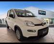 Fiat Panda 1.0 FireFly Hybrid Bianco - thumbnail 7