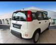 Fiat Panda 1.0 FireFly Hybrid Bianco - thumbnail 5