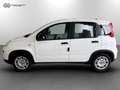 Fiat Panda 1.0 FireFly Hybrid Bianco - thumbnail 2