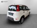 Fiat Panda 1.0 FireFly Hybrid Bianco - thumbnail 5