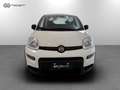 Fiat Panda 1.0 FireFly Hybrid Bianco - thumbnail 8