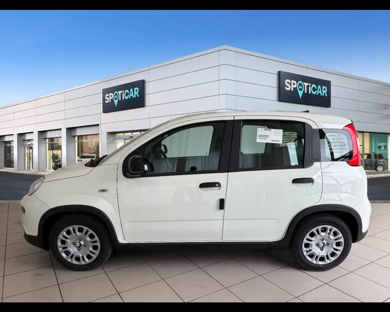 Fiat Panda 1.0 FireFly Hybrid Bianco - 2