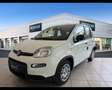 Fiat Panda 1.0 FireFly Hybrid Bianco - thumbnail 1