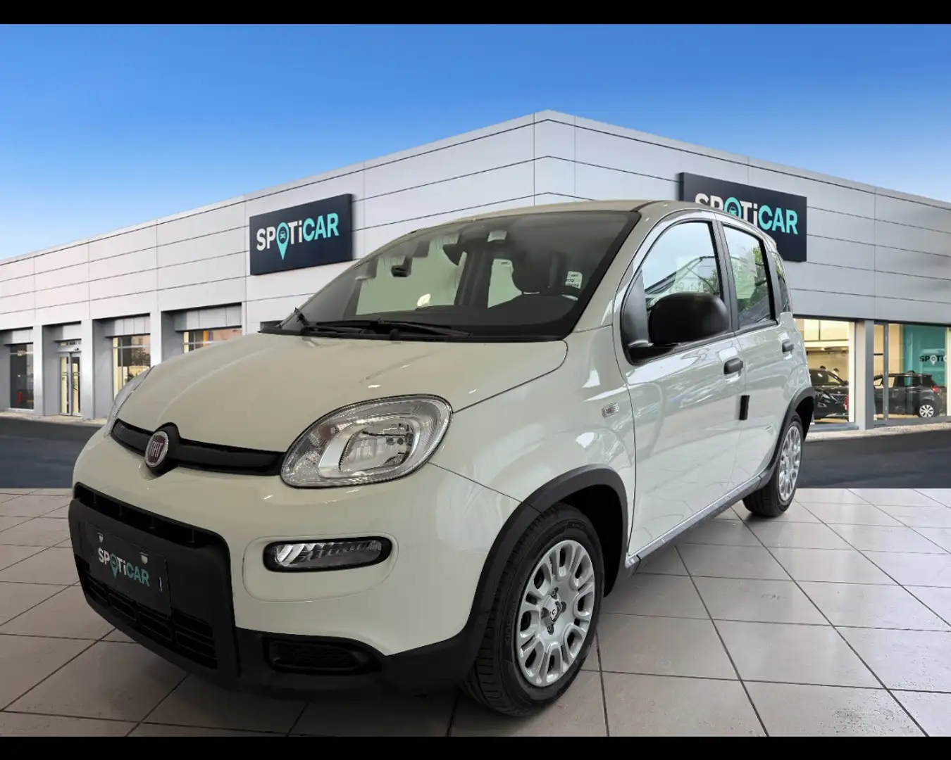 Fiat Panda 1.0 FireFly Hybrid Bianco - 1