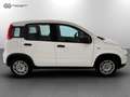 Fiat Panda 1.0 FireFly Hybrid Bianco - thumbnail 6