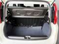 Fiat Panda 1.0 FireFly Hybrid Bianco - thumbnail 10