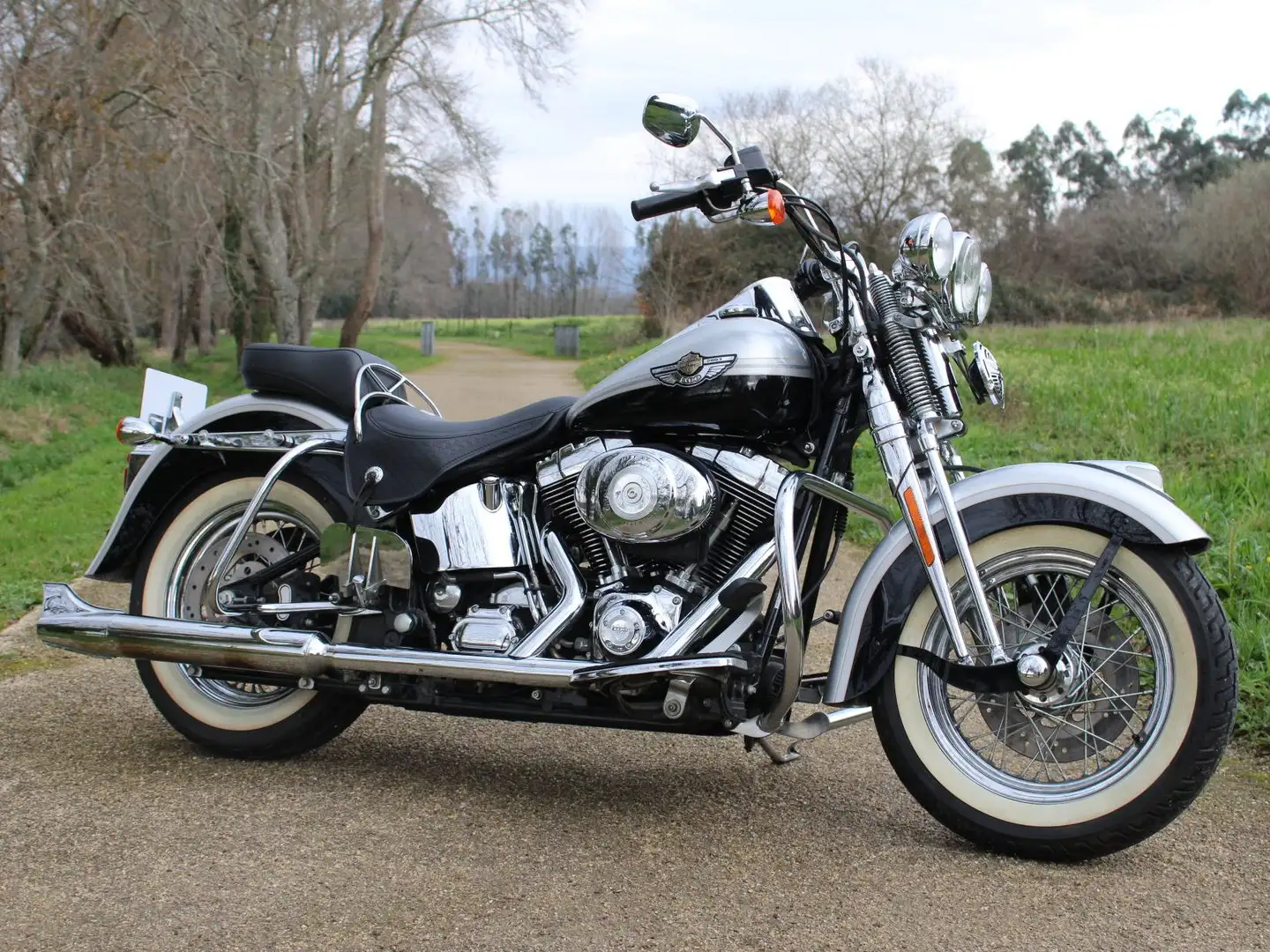 Harley-Davidson Heritage Springer FLSTS Softail Springer 100th Anniversary Šedá - 1