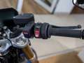 BMW F 900 R KOMFORT-P. DYNAMIC-P. GRIFFHEIZUNG Blauw - thumbnail 13