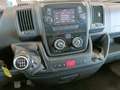 Fiat Ducato DUCATO MAXI 35 CON SPONDA Blu/Azzurro - thumbnail 7