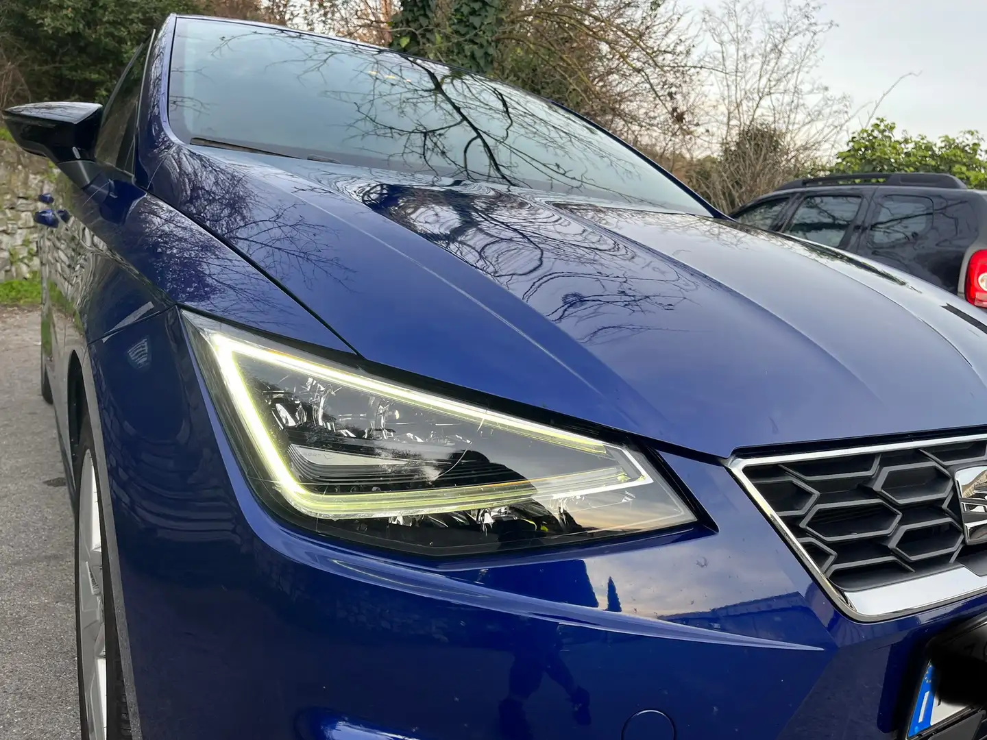 SEAT Ibiza Ibiza V 2017 1.0 tgi Reference 90cv Blu/Azzurro - 2