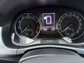 Skoda Fabia Ambition+BUSINESS u.COMFORT PAKET+SITZHEI. Negro - thumbnail 9