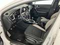 Kia Ceed / cee'd Kia pro ceed 1,6 CRDi SCR GT-Line Weiß - thumbnail 4