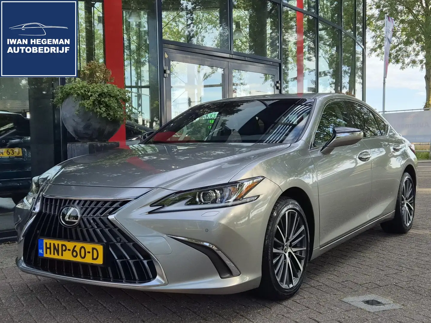 Lexus ES 300 300h Business Line | PDC+Camera | Schuif kanteldak Grijs - 1