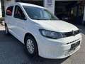 Volkswagen Caddy 2,0 TDI Weiß - thumbnail 3