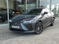 Lexus RZ 450e Direct4 AWD Privilege line +Dimming PANO Grijs - thumbnail 2