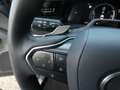 Lexus RZ 450e Direct4 AWD Privilege line +Dimming PANO Grijs - thumbnail 21