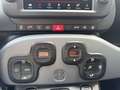 Fiat Panda 1.0 FireFly S&S Hybrid Sport Gris - thumbnail 16