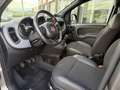 Fiat Panda 1.0 FireFly S&S Hybrid Sport Grigio - thumbnail 8