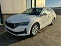Skoda Octavia Combi Selection 1.5 TSI 150PS, 5 Jahre Garantie... - thumbnail 23