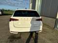 Skoda Octavia Combi Selection 1.5 TSI 150PS, 5 Jahre Garantie... - thumbnail 20