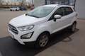 Ford EcoSport 1,0 EcoBoost Trend Weiß - thumbnail 1