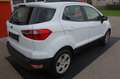 Ford EcoSport 1,0 EcoBoost Trend Weiß - thumbnail 6