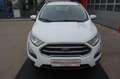 Ford EcoSport 1,0 EcoBoost Trend Weiß - thumbnail 2