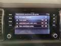 Skoda Kodiaq 2.0TDI SCR DSG AdaptiveCruise Navi FariLED Camera Grigio - thumbnail 13