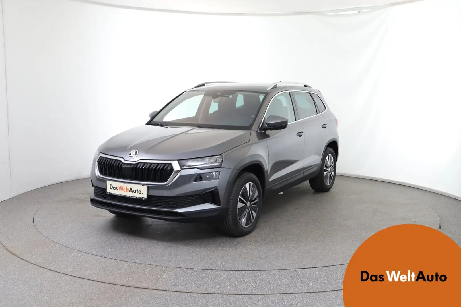Skoda Karoq 4x4 Selection TDI DSG Grijs - 1