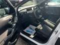 Citroen C4 Cactus Shine - Kamera-Pano-Automatik Blanco - thumbnail 11