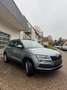 Skoda Karoq 1.0 TSI Ambition AHK R-Cam Apple CarPlay Grau - thumbnail 8