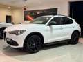 Alfa Romeo Stelvio 2.2 T.diesel 190CV AT8 Q4 B-Tech Solo 108.000km Alb - thumbnail 3