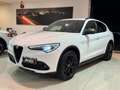 Alfa Romeo Stelvio 2.2 T.diesel 190CV AT8 Q4 B-Tech Solo 108.000km Alb - thumbnail 2