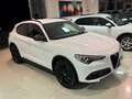 Alfa Romeo Stelvio 2.2 T.diesel 190CV AT8 Q4 B-Tech Solo 108.000km Alb - thumbnail 6