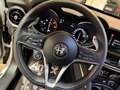 Alfa Romeo Stelvio 2.2 T.diesel 190CV AT8 Q4 B-Tech Solo 108.000km Alb - thumbnail 23