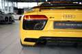 Audi R8 V10+ *1.H *20 *Audi Exclusive *Schale *S-AGA Gelb - thumbnail 16