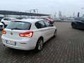 BMW 116 116i Urban 5p Weiß - thumbnail 15