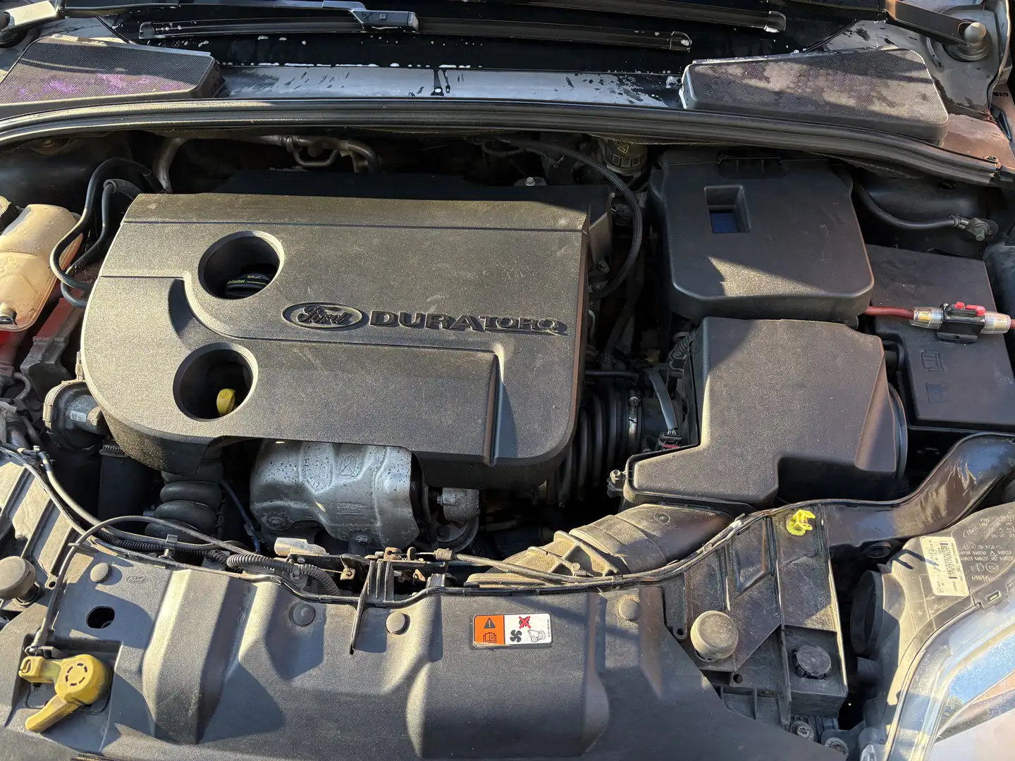 Ford Focus Focus 5T Easy 1,6 TDCi Schwarz - 2