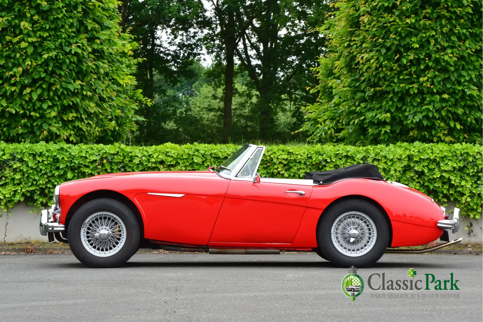 Austin-Healey 3000 MK II BJ7 Rojo - 2