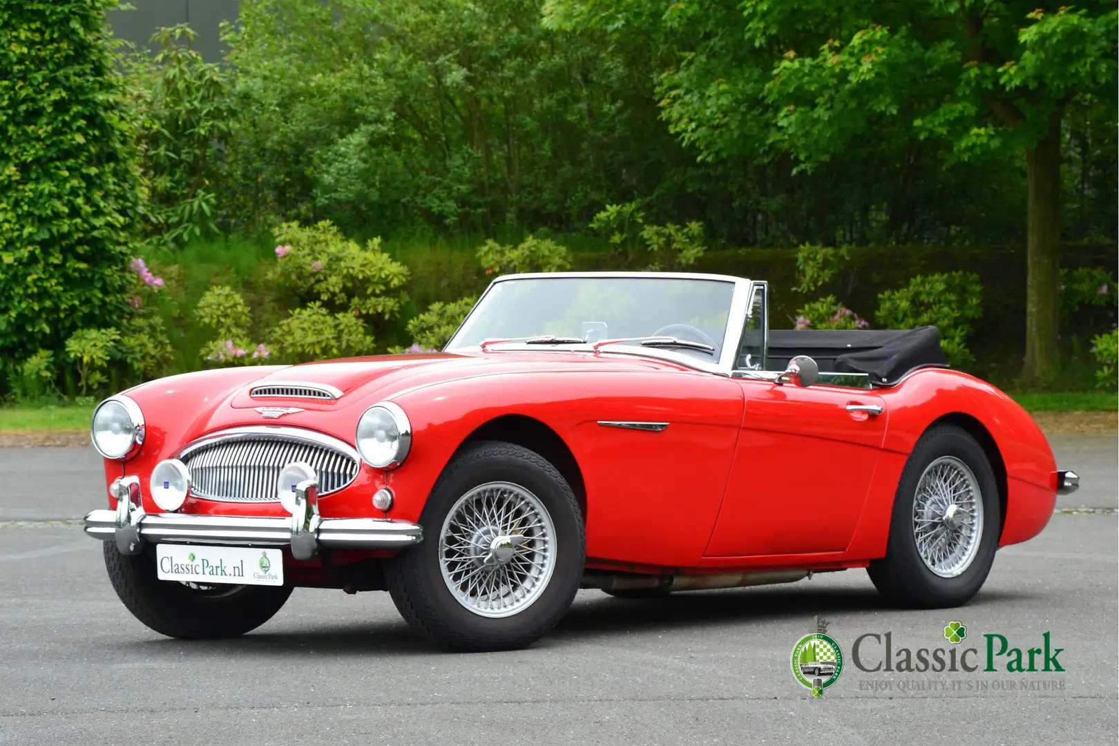 Austin-Healey 3000 MK II BJ7 Rojo - 1
